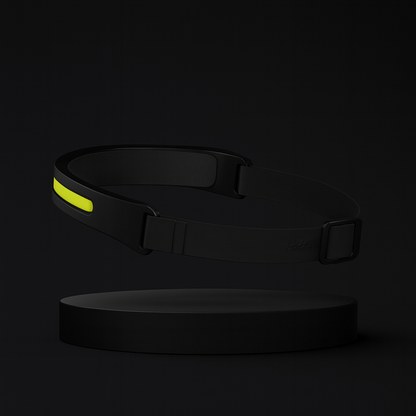 LED galvos žibintas